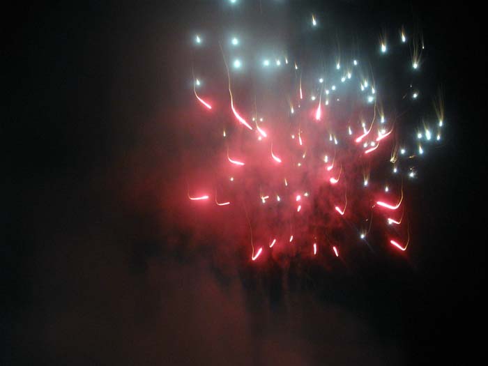 Picture 061