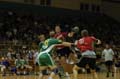 IMG_0118